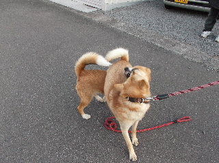 20130630格闘1.jpg