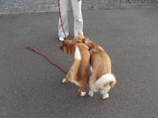 20130630格闘3.jpg