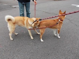 ご挨拶.jpg