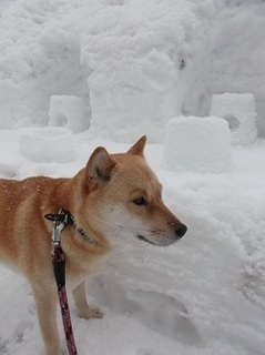 アイスキャンドル2.jpg
