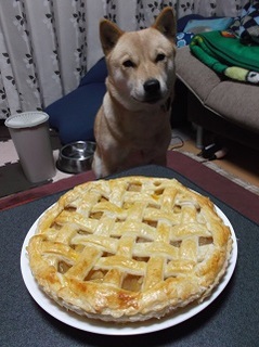 アップルパイ.jpg