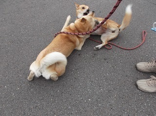 攻防3.jpg