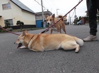 疲れたよ.jpg
